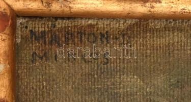 Jelzés nélkül: Virágos kert. Olaj, vászon. Sérült fa keretben. 36,5x33 cm