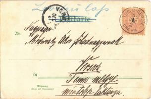 1899 Dog with champagne. litho (EK)