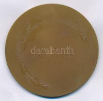 Búza Barna (1920-2010) 1961. "XIX. Kerületi Ady Endre Úti Iskola 1911-1961" Br emlékérem (...