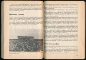 Zsidei Barnabás: A méhészkedés 12 hónapja. Bp., 1990. Mezőgazdasági. Kiadói papírkötésben