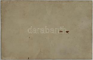 O, du mein Österreich! Bundeskanzler Dollfuss der Führer der Vaterländischen Front / Engelbert Dollf...