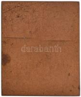 Német Birodalom 1915. "Bismarck 1815-1915" Br plakett. Szign.: F. Stiasny (64,5x57mm) T:2 ...