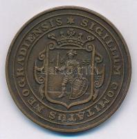 Bognár György (1944-) 1988. "MÉE Nógrád megye - Nógrádi várak sorozat - Buják vára" Br eml...