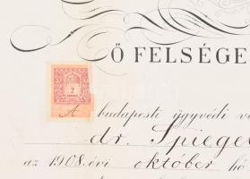 1908 Ügyvédi vizsga bizonyítvány 30x48 cm