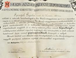 1907 Gépészmérnöki oklevél kecskebőrön Karácsonyi Illyszínésznő férje, Spiegel Gyula részére  60x48 ...