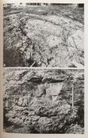 Dr. Fülöp József: Tatai mezozóos alaphegységrögök. Geologica Hungarica. Series Geologica Tomus 16. B...