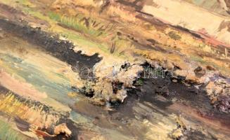 Lukács János (1952- ): Tanya. Olaj, farost, jelzett, fa keretben, hátoldalán Életkép Kft. címkéjén f...