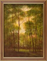 Bajor Tamás (?-): Erdőrészlet. Olaj, vászon, faroston, jelzett, keretben, hátoldalán címkén feliratozott, 30×40 cm