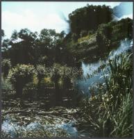 Eifert János (1943- ): Vízpart, jelzés nélküli fotóművészeti alkotás, 24x23 cm