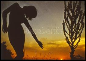 cca 1974 Szolidan erotikus felvételek, vegyes válogatás, 13 db vintage DIAPOZITÍV felvétel, 24x36 mm...