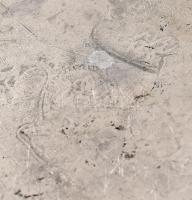 Antik, címeres ón tál. XIX: sz. eleje. 1809-as évszámmal. Pecséttel jelzett. d: 27 cm