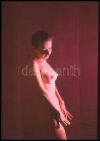 cca 1973 Az aktfotózás szépsége, Czakó László (?-?) pécsi fotóművész hagyatékából 5 db vintage DIAPO...