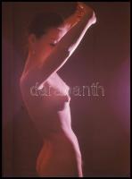 cca 1970 Az aktfotózás szépsége, Czakó László (?-?) pécsi fotóművész hagyatékából 7 db vintage DIAPO...