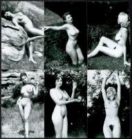 cca 1960 Fekete György (1904-1990) budapesti fényképész hagyatékából 13 db mai nagyítás, szolidan erotikus lányokról, vélhetően reprodukciók, 15x9,6 cm és 12,5x8,5 cm között