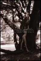 Különböző időpontokban és eltérő helyszíneken készült akt felvételek, három kivételével vintage nega...