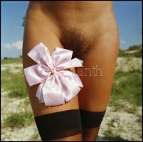 Különböző időpontokban és eltérő helyszíneken készült akt felvételek, Menesdorfer Lajos (1941-2005) ...