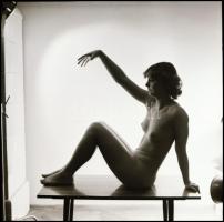 Különböző időpontokban és eltérő helyszíneken készült akt felvételek, Menesdorfer Lajos (1941-2005) ...