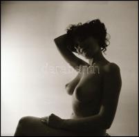 Különböző időpontokban és eltérő helyszíneken készült akt felvételek, Menesdorfer Lajos (1941-2005) ...