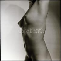 Különböző időpontokban és eltérő helyszíneken készült akt felvételek, Menesdorfer Lajos (1941-2005) ...