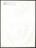 1978 Lachkovich László pecsétjével ellátott vintage divatfotó, 23,6x16,8 cm