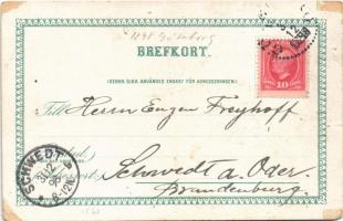 1898 Göteborg, Norra och Södra Hamngatorna / general view, bridge, horse-drawn tram. Art Nouveau, li...