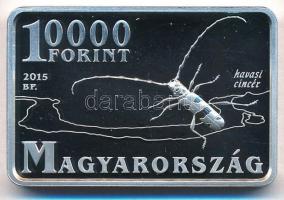 2015. 10.000Ft "Duna-Ipoly Nemzeti Park / Havasi cincér" T:PP