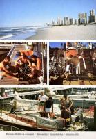 Gál József: Széllel, szél ellen. Bp., 1989, Equator kiadó. Kiadói kartonált papírkötés