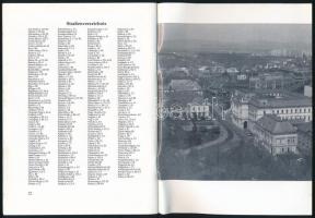 Raffai István: Régi épületek Veszprémben. Fényképes album. Veszprém, én., Pannon-ny. Kiadói kartonál...