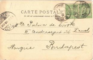 1903 Familie Bedouine / Arab folklore, Beduin family (EK)