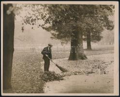 cca 1930 London, Hyde Park, az ősz szőnyege, feliratozott sajtófotó, 20×25 cm