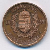 1995. "Újpesti Tornaegylet (UTE)" kétoldalas centenáriumi Br emlékérem (32mm) T:1 (eredeti...