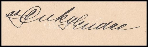 1901 Dr. bizáki Puky Endre (1871-1941), a Gömbös-kormány későbbi külügyminisztere által írt levél