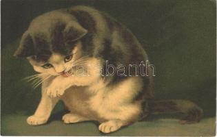 1916 Cat. Wenau-Postkarte No. 607. (EK)