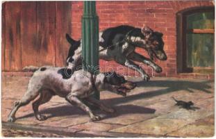 1911 Dogs. Serie 207. (EK)