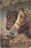 Horses with pigeon. WSSB 6908/2. s: W. Velten