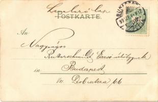 1899 Flowers / Meissner & Buch Blumen-Postkarten No. 1029. "Von der Alm" litho (fl)