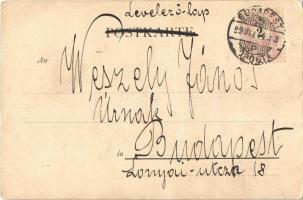 1899 Corso / Art Nouveau lady riding a bicycle. Fr. A. Ackermann Kunstverlag Künstlerpostkarte No. 3...