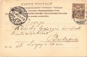 1901 New Year greeting art postcard, lady with pig (EK)