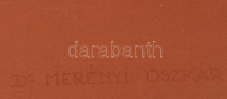 Nagy vegyes fotó tétel: kb. 700 db fotó ömlesztve, közte 2 db régi fotóalbum, egy fénykép üvegezett ...