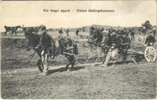 Kis hegyi ágyúk / Kleine Gebirgskanonen / WWI Austro-Hungarian K.u.K. military, artillery, small mountain guns (EB)