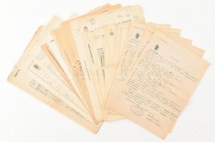 Több tucat születési, házassági stb. anyakönyvi kivonat a Ginzery család hagyatékából