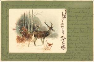 1903 Hunter art postcard with deer and stag in the forest. Serie 456. litho (EK)