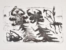 Almásy Aladár (1946): Polipaltatók, 1995. Litográfia, papír, jelzett. 34x54 cm