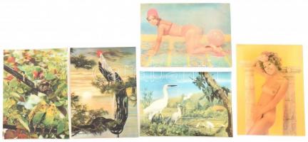 5 db 3D-s képeslap, közte 2 db erotikus, vetkőzős / 3D postcards, including 2 erotic