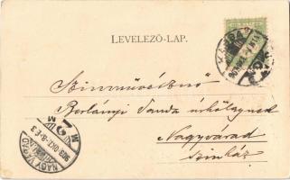 1903 Magyar folklór / Hungarian folklore