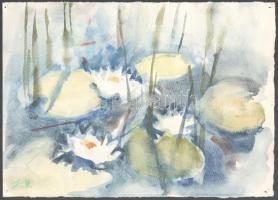 Somlai Vilma (1938-2007): Vízililiomok. Akvarell, papír, jelzett, hátoldalán a művész pecsétjével, 25×35 cm