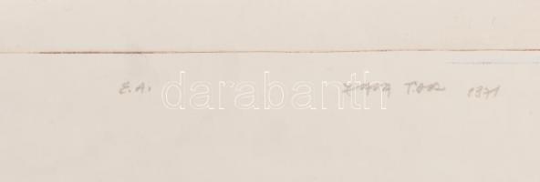 Zala Tibor (1920-2004): Sajkod III., 1971. Rézkarc, papír. jelzett, számozatlan művészpéldány EA.39x...