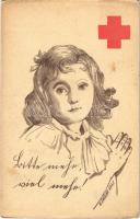 1915 Der Reingewinn fällt dem roten Kreuze zu / WWI Austro-Hungarian Red Cross propaganda, charity fund. Verlag M. Engler (EK)