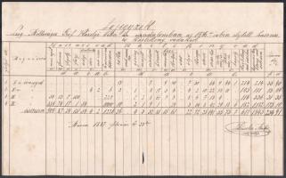 1876-1886 Bizonyítvány vadászati tevékenységről ép viaszpecséttel, Károlyi gróf aláírásával + lőjegy...