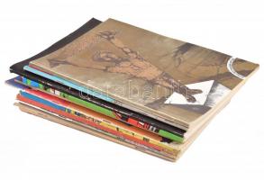 1979-1986 13 db különböző BME gépész- és villamosmérnök ballagó újság, számos humoros és pajzán illu...